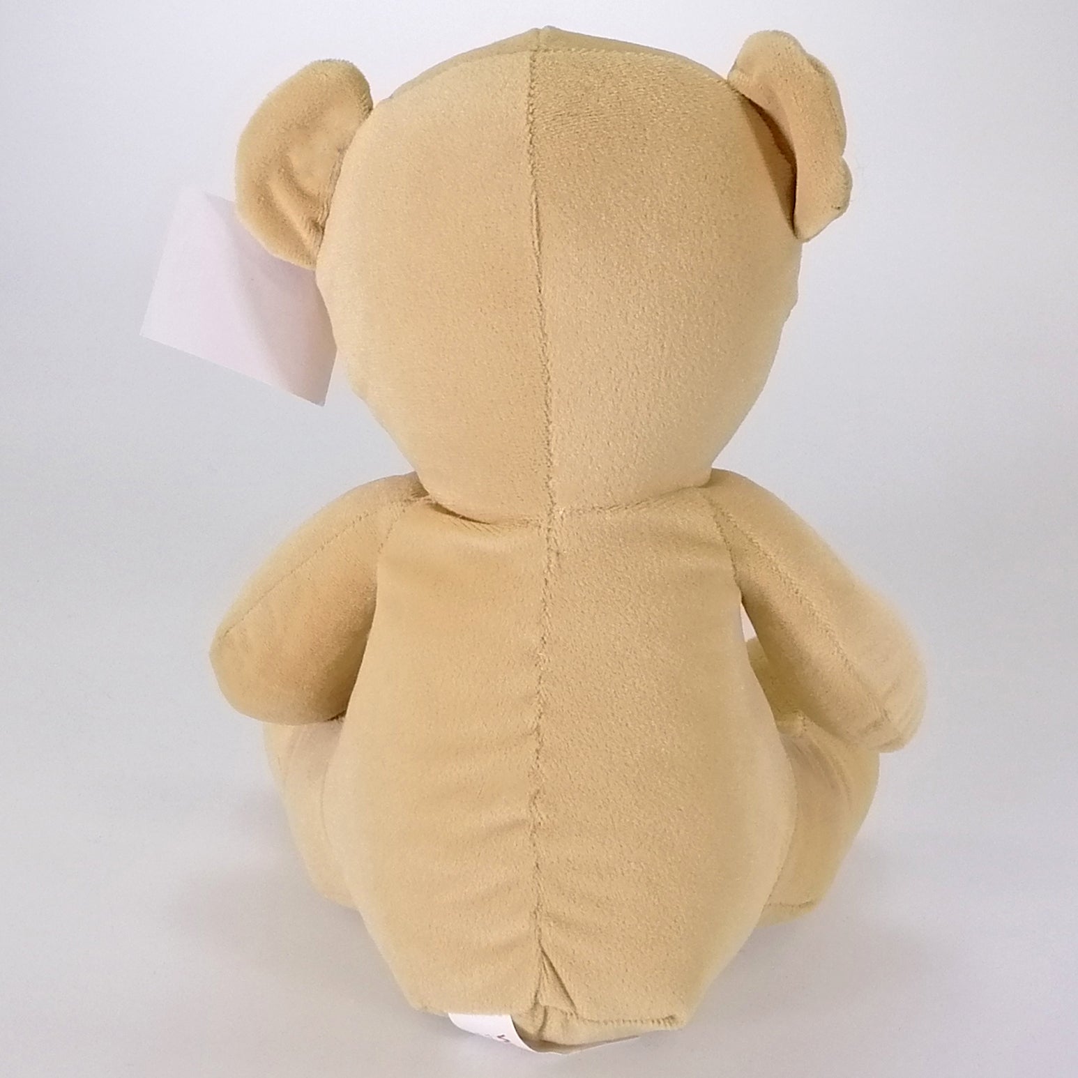 Teddy the Bear Doorstop