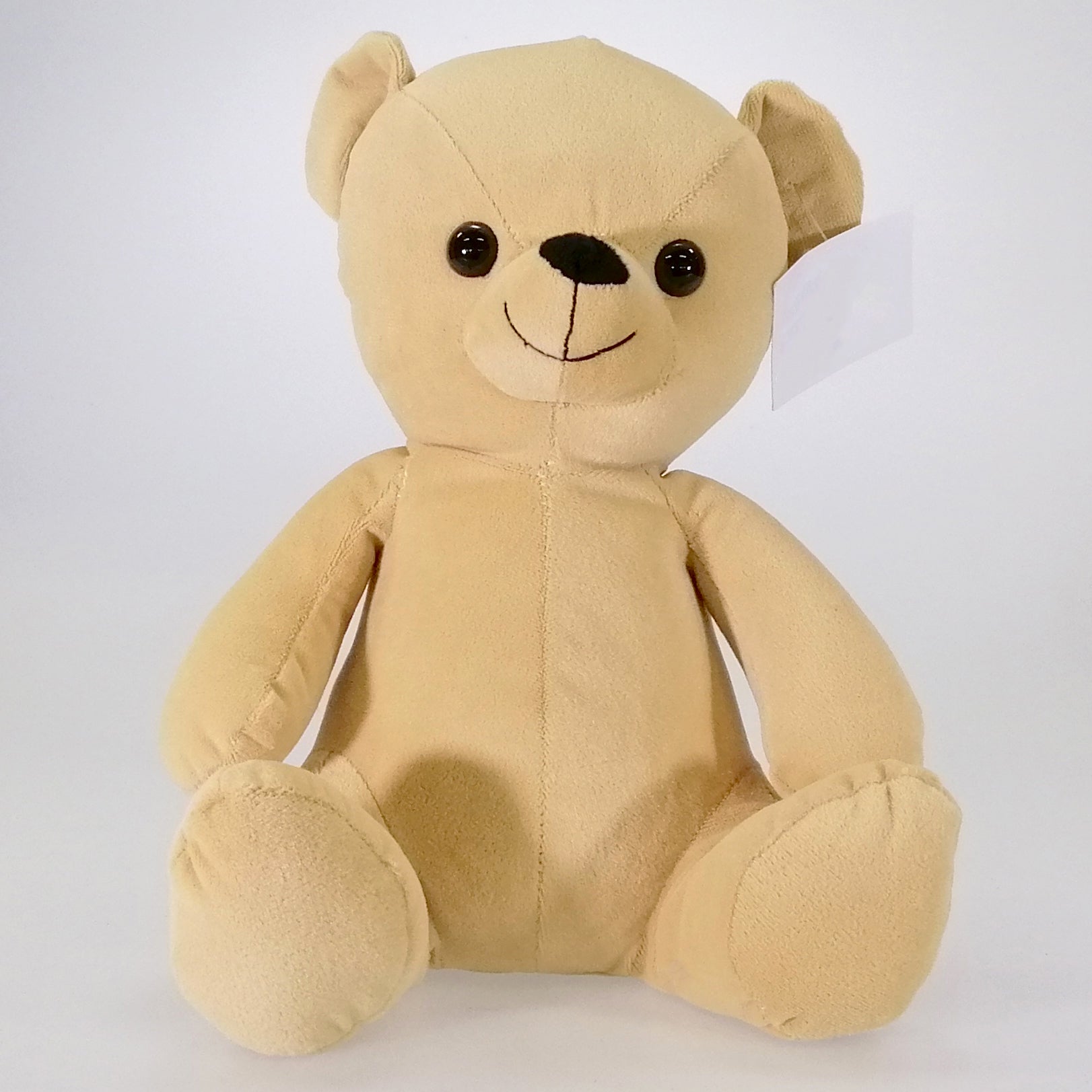 Teddy the Bear Doorstop