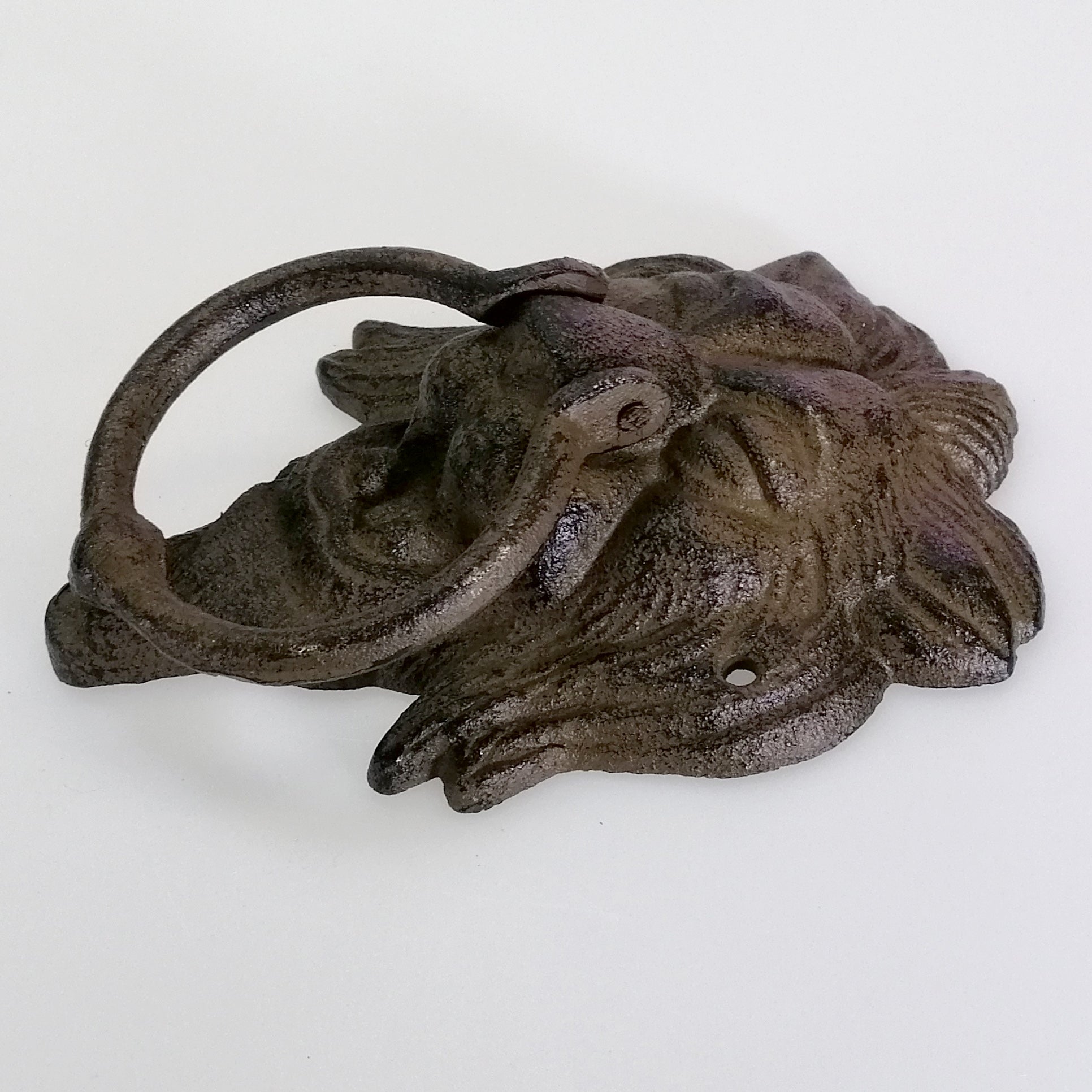 Cast Iron Door Knocker - Lion