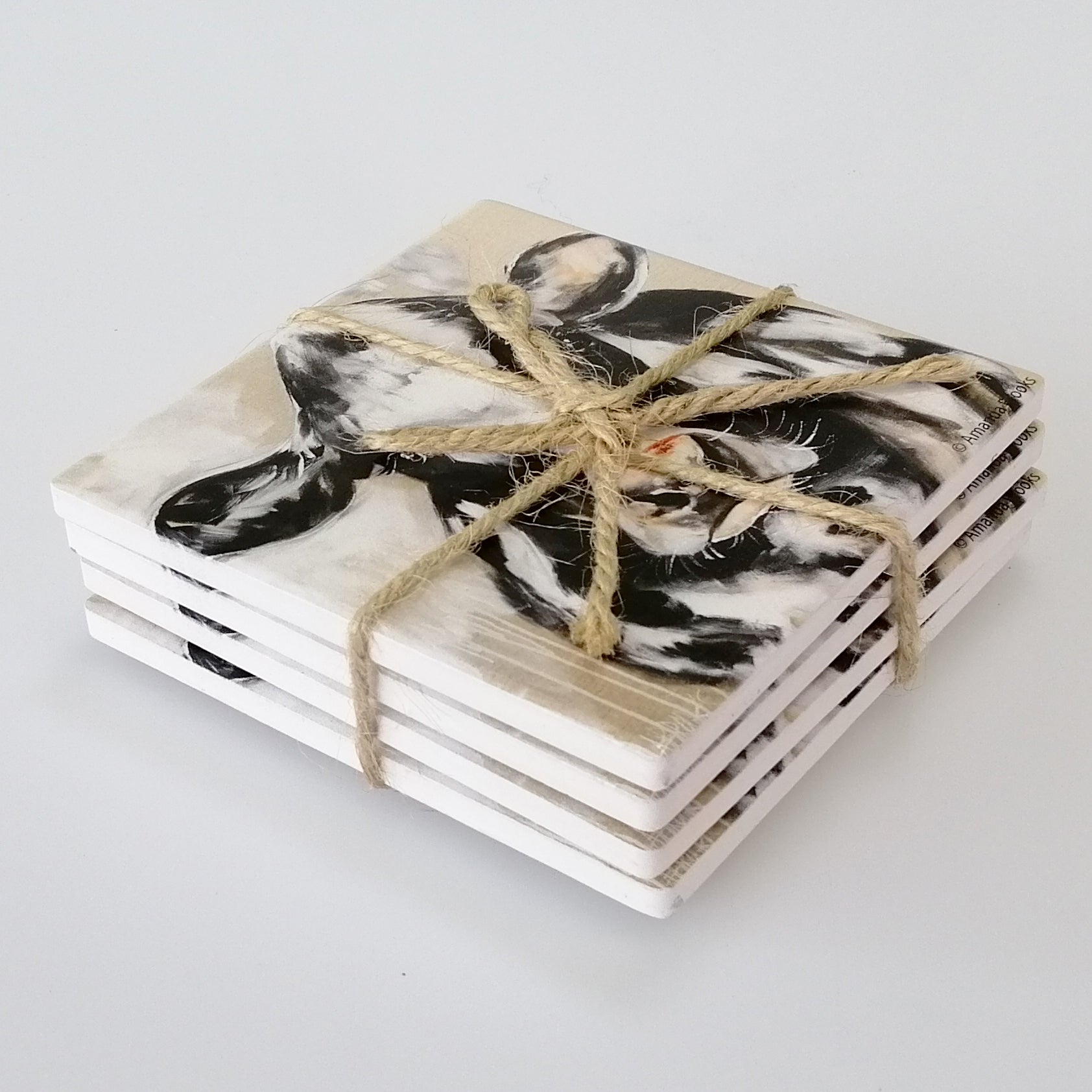 Friesian Molly - Coasters - Set of 4