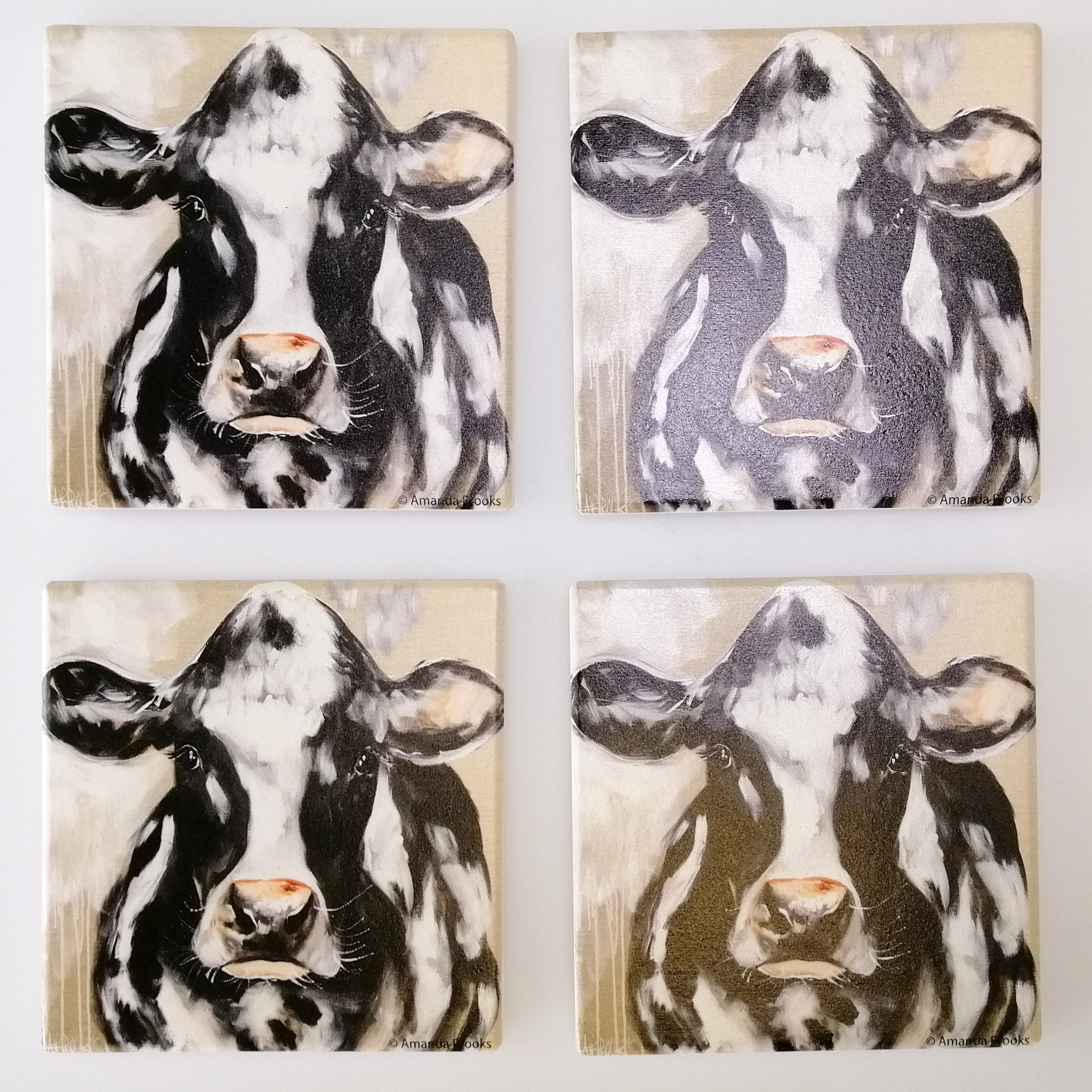 Friesian Molly - Coasters - Set of 4