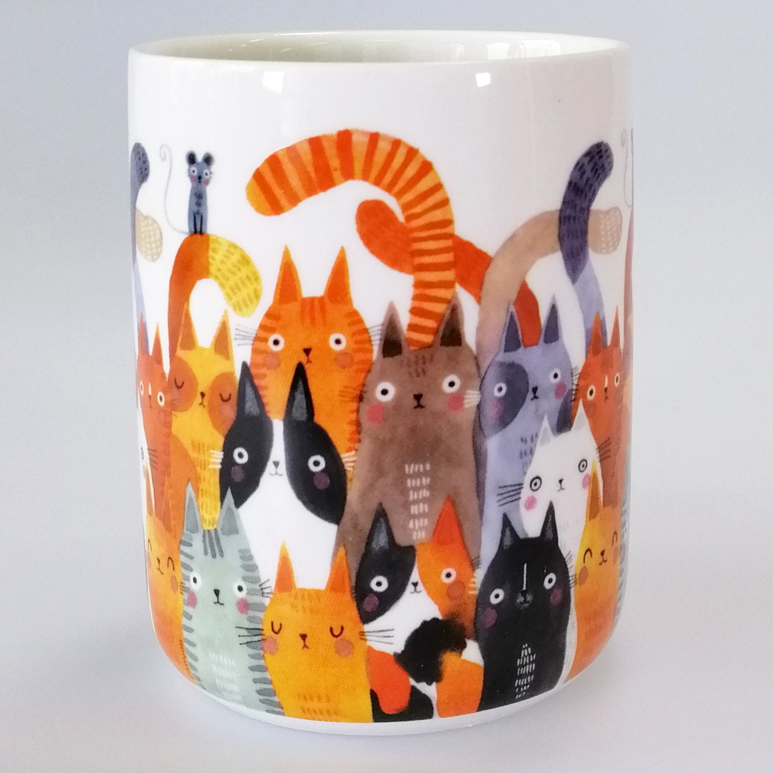 Ashdene Quirky Cats 'Photobomb' Mug