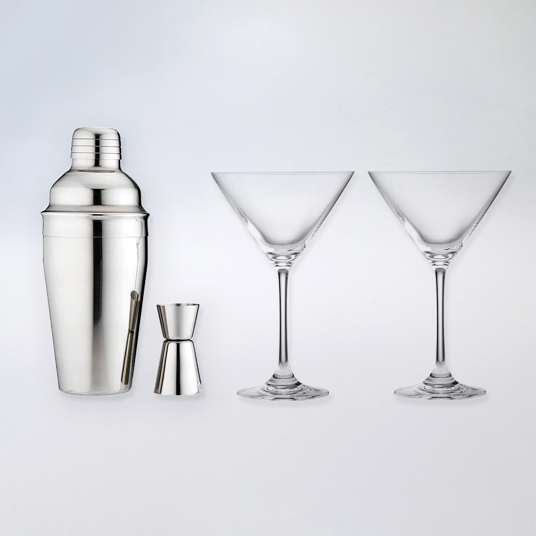 Tempa Aurora Cocktail Shaker and Martini Glass Gift Set - Silver