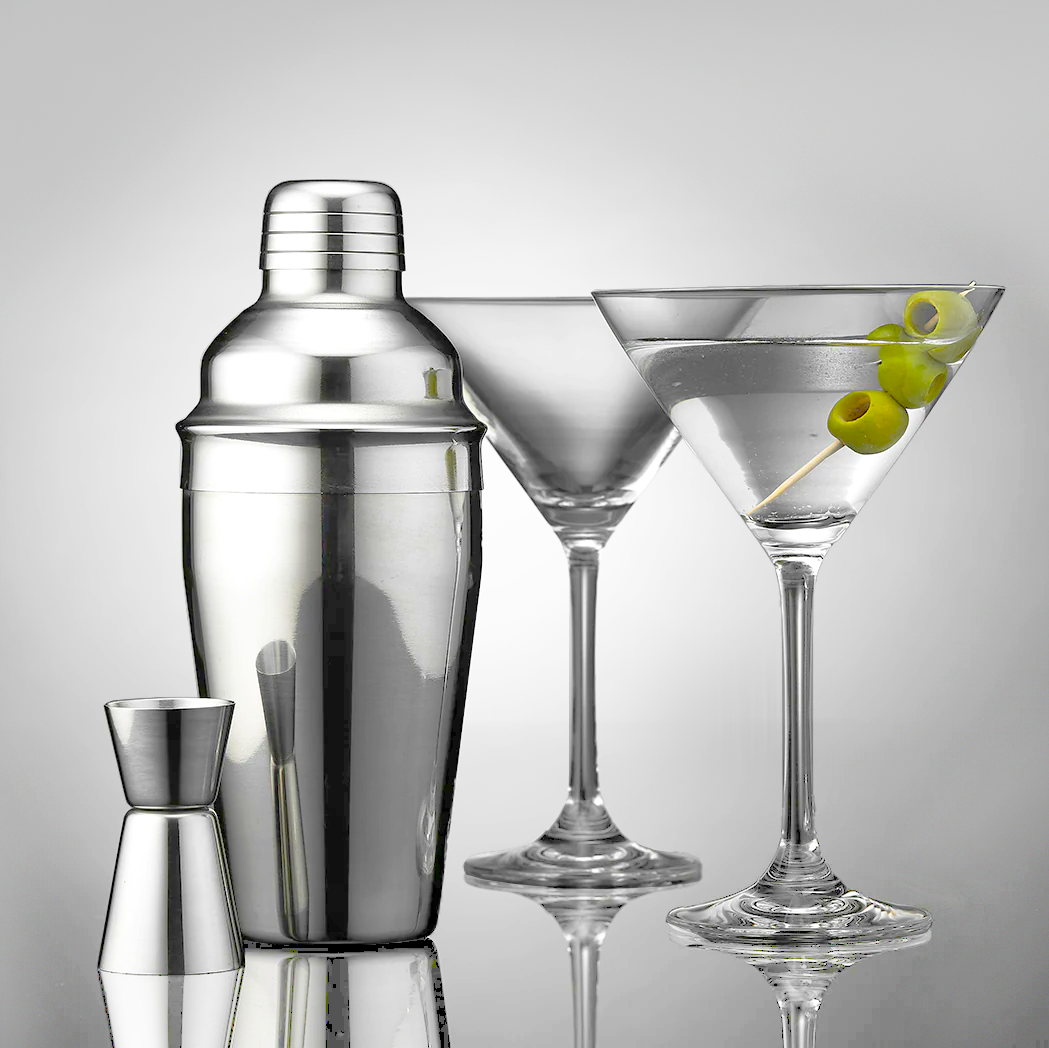 Tempa Aurora Cocktail Shaker and Martini Glass Gift Set - Silver