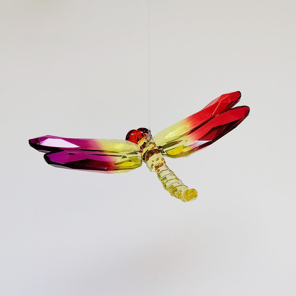 Acrylic Rainbow Dragon Fly