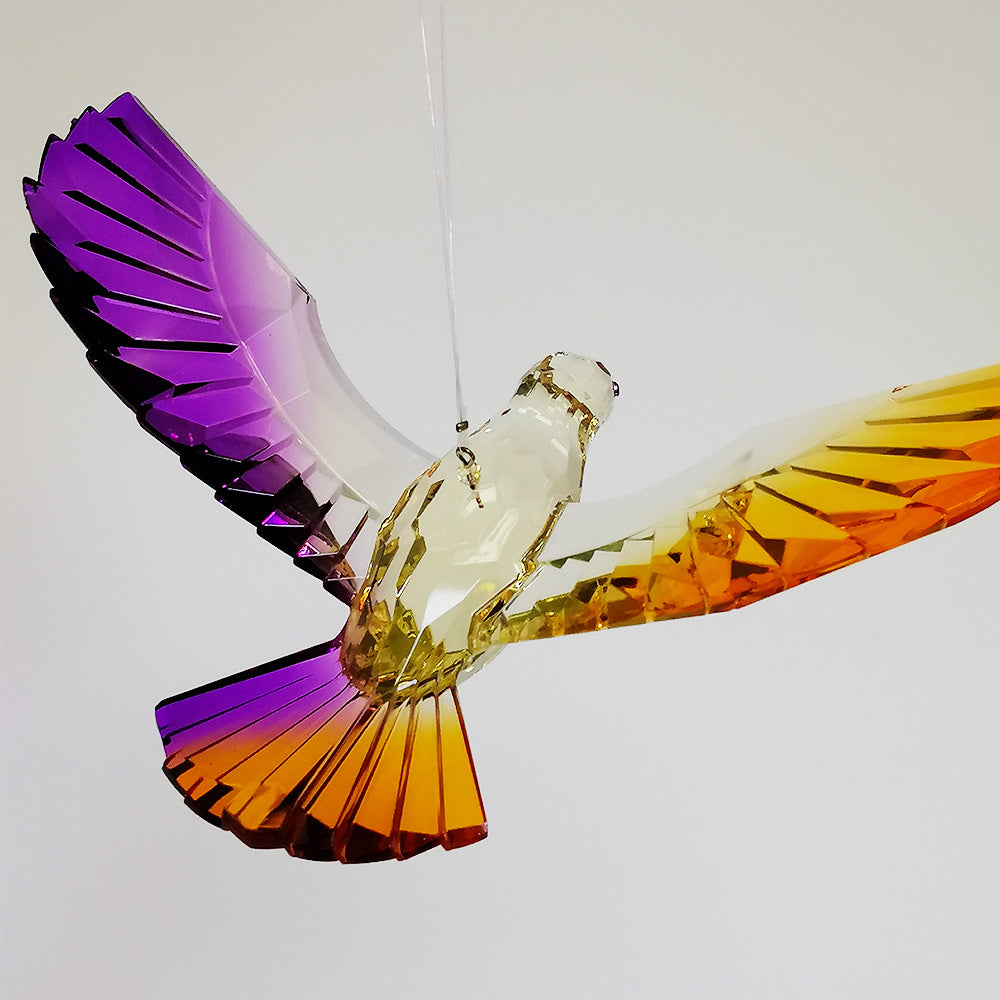 Acrylic Rainbow Dove