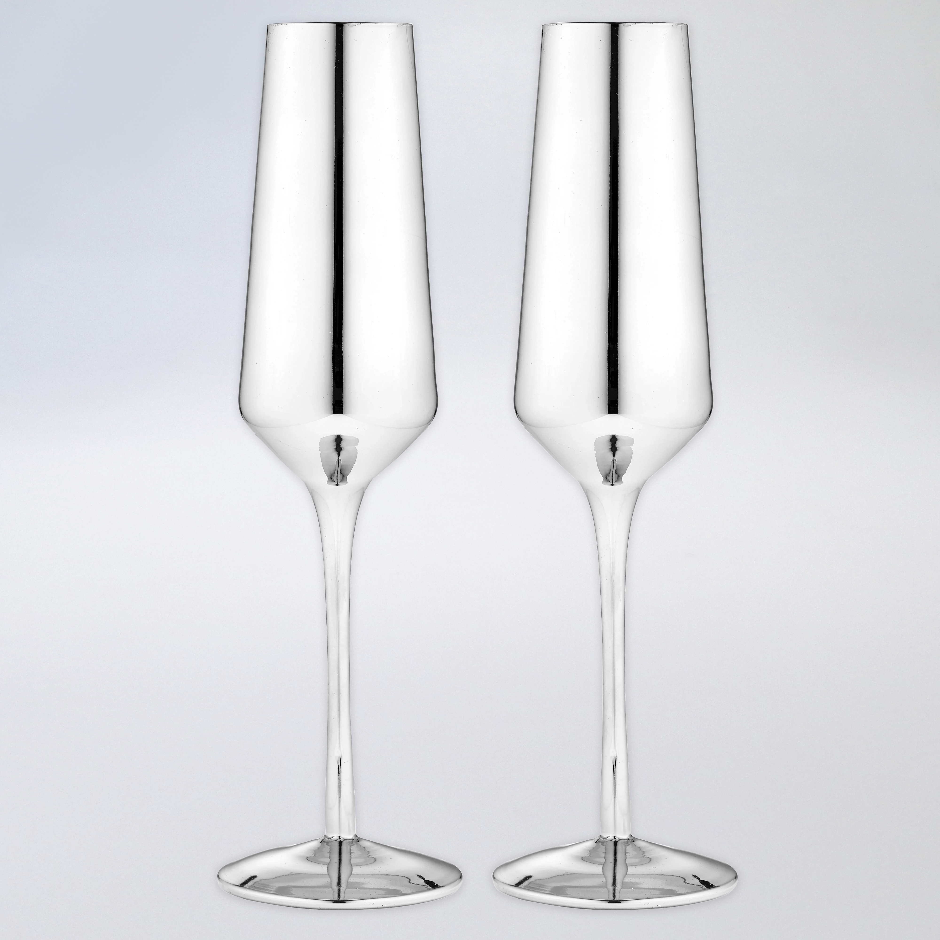 Tempa Aurora Champagne Glasses - Silver