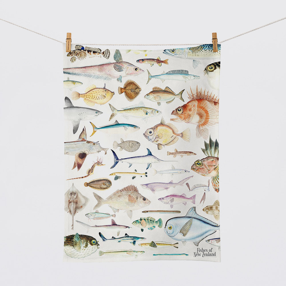 Tea Towel - 'Fishes Of NZ'