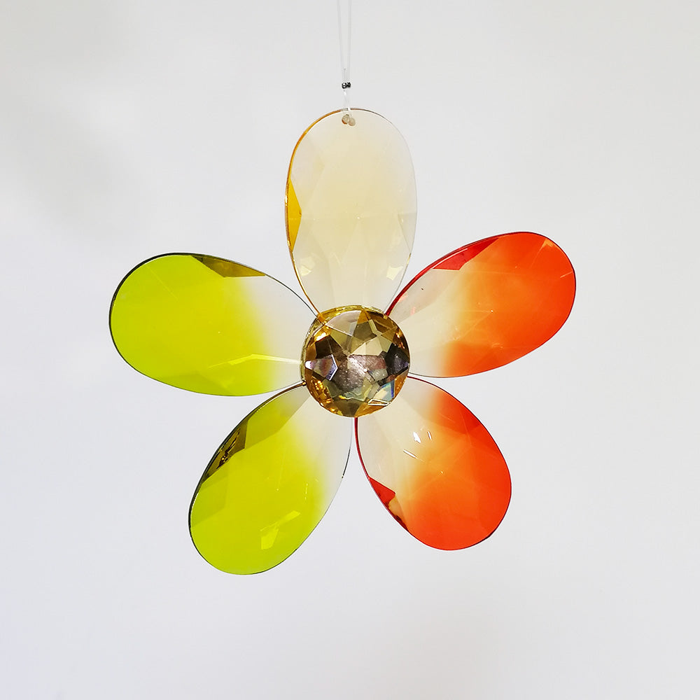 Acrylic Vivid Daisy - Assorted colours