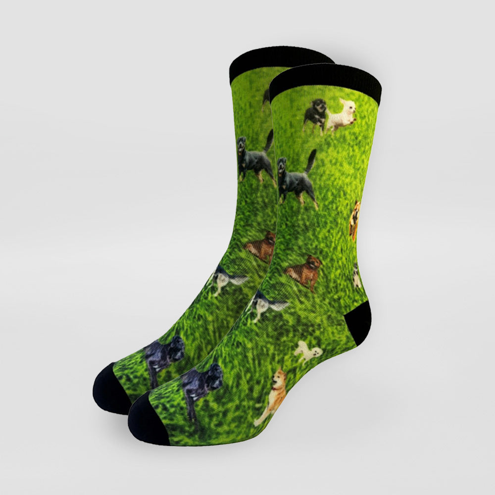 Printed Socks - Dogs