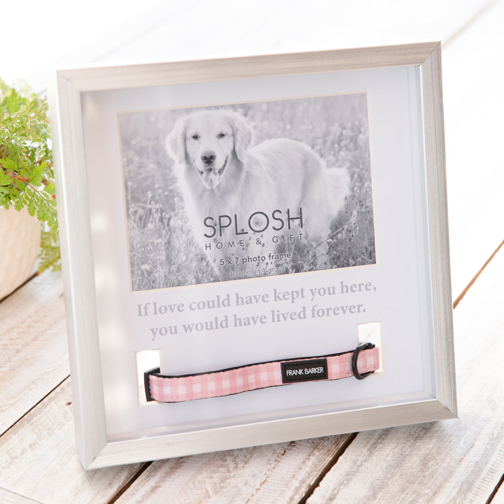 'Pet Collar - Loving Memories' Silver Frame