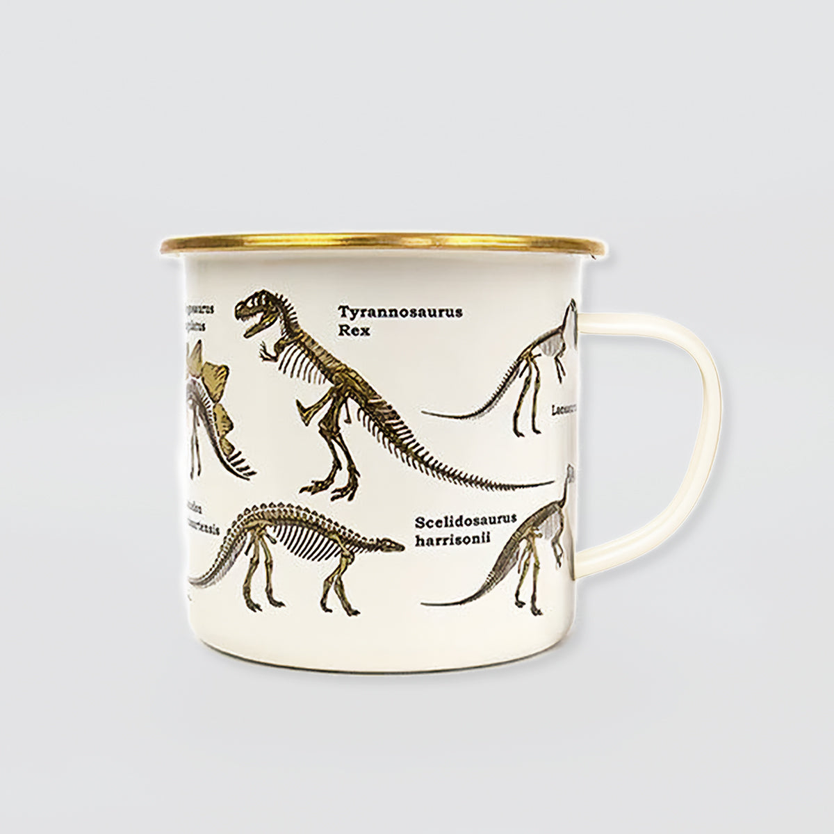 Enamel Mug - 'Dinosaurs'
