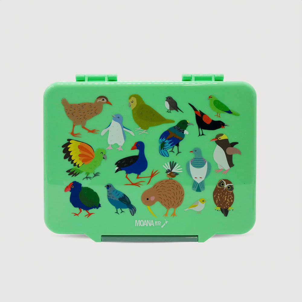 Moana RD - Kiwi Birds Lunch Box