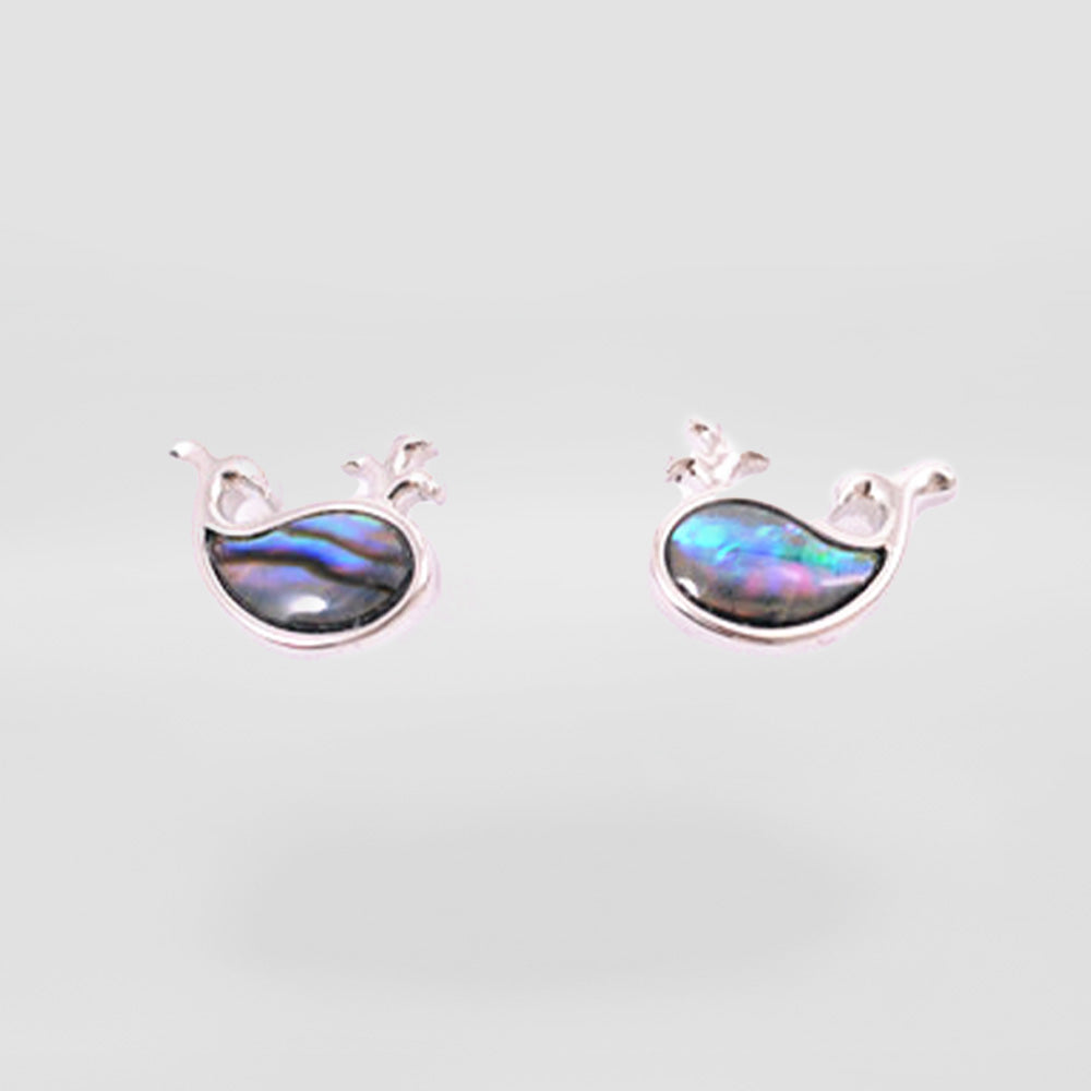 Paua Whale Stud Earrings