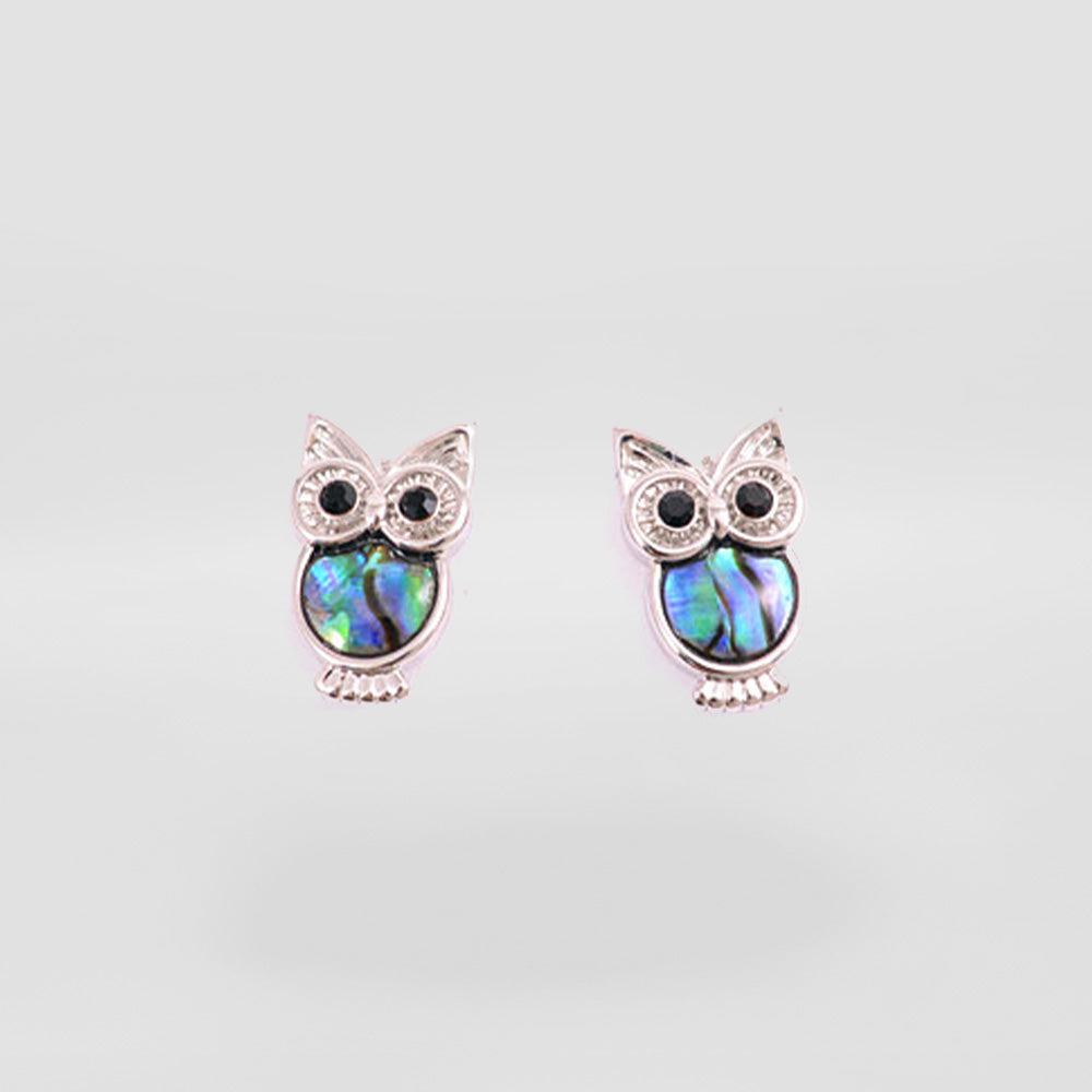 Paua Owl Stud Earrings