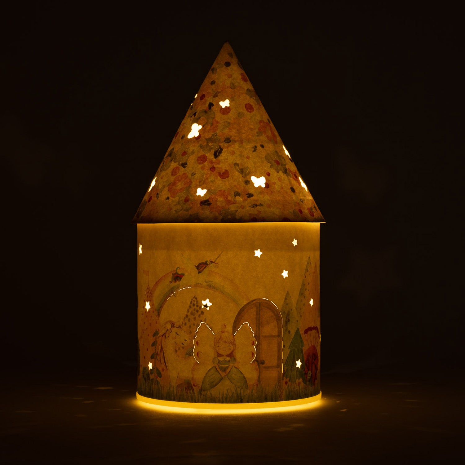 Fairy Princess Light Up House