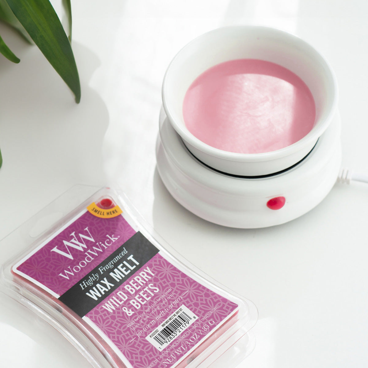 Electric Wax Melter