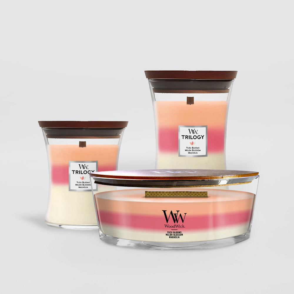 Woodwick - Blooming Orchard Trilogy