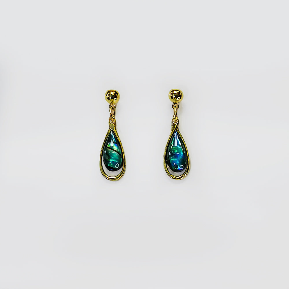 Paua Earrings - 'Rounded'