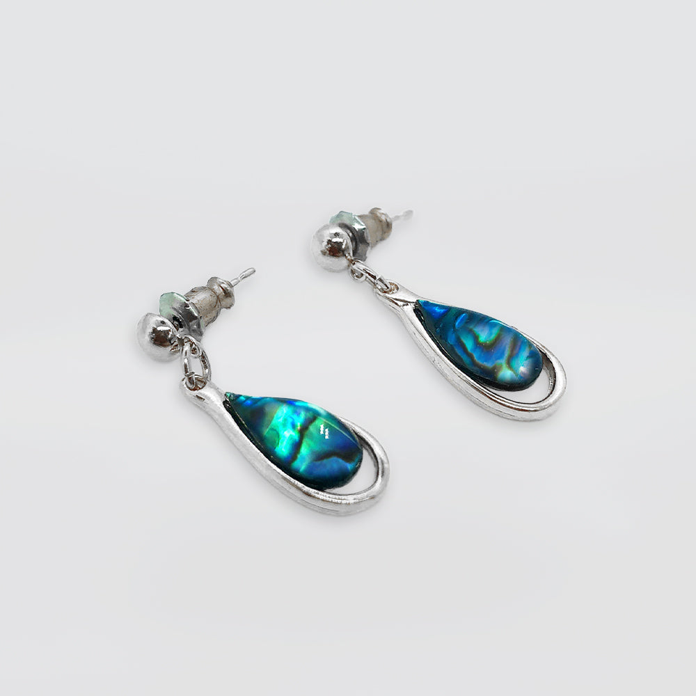 Paua Earrings - 'Rounded'