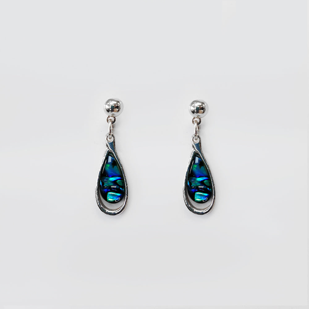 Paua Earrings - 'Rounded'