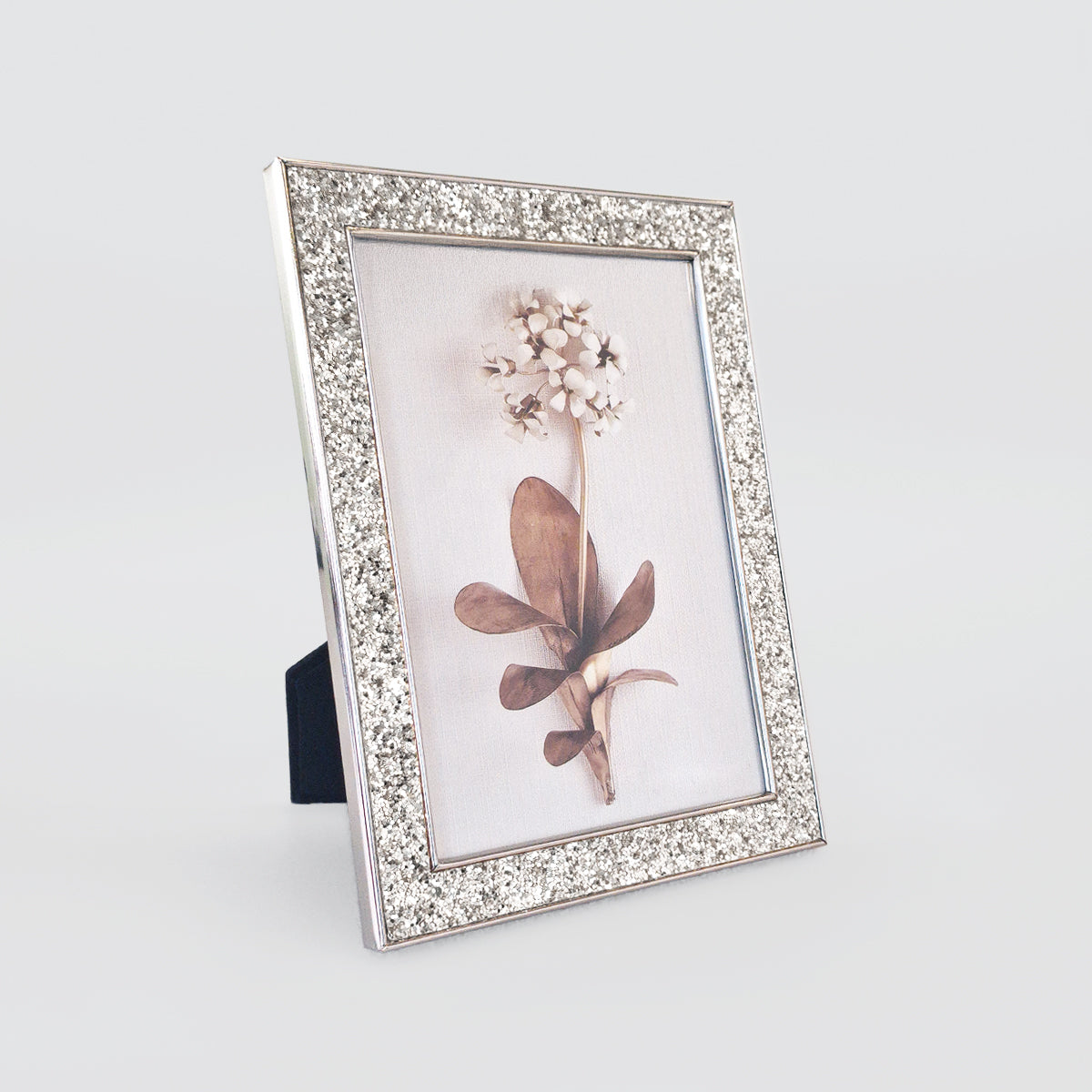 Sequin Frames