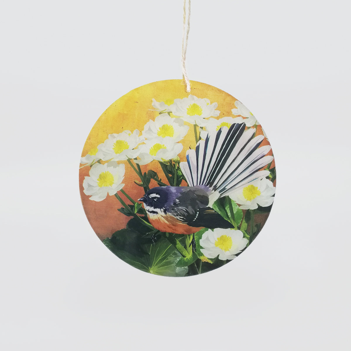 Glass Hanging Circles - NZ Birds