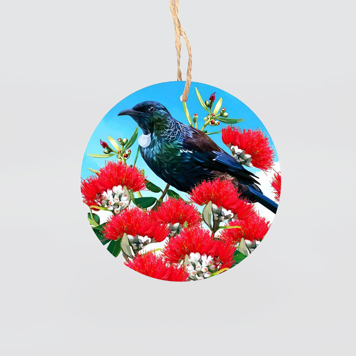 Glass Hanging Circles - NZ Birds