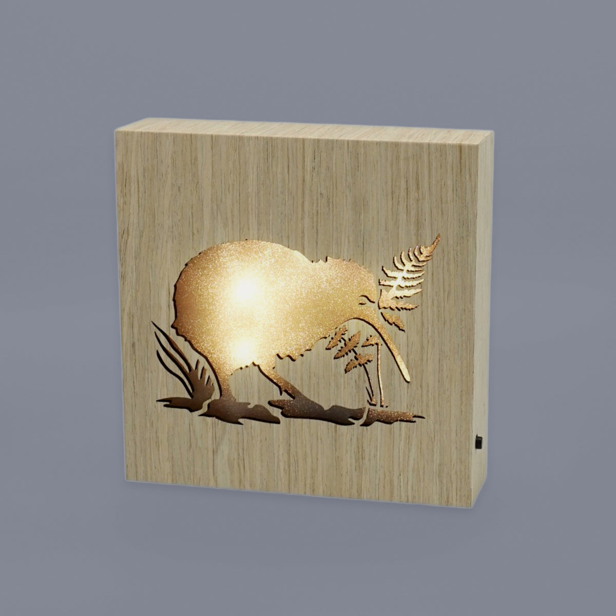 LED Kiwiana Block - 'Kiwi'