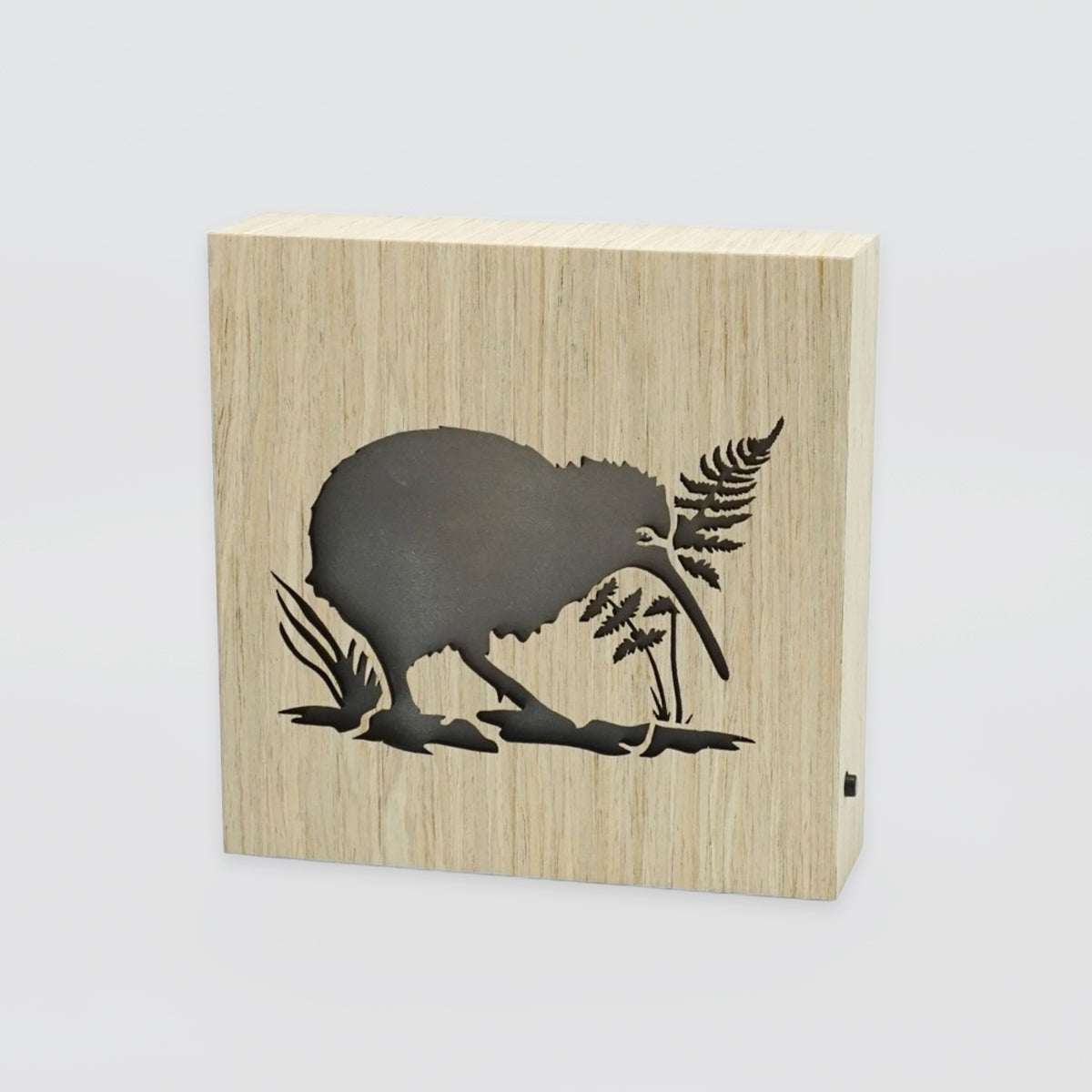 LED Kiwiana Block - 'Kiwi'