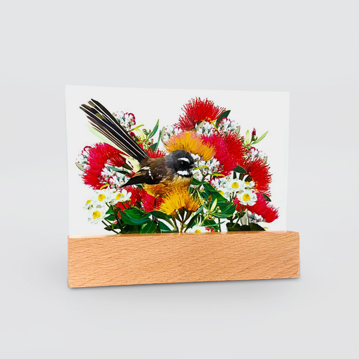 Glass Panel - 'Fantail On Pohutukawa'