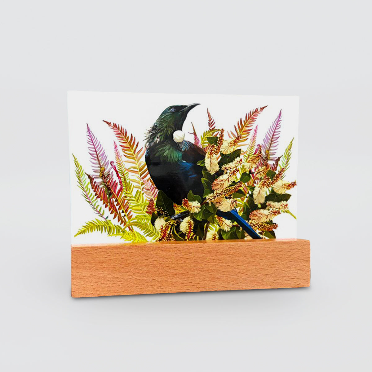 Glass Panel - 'Tui On Ferns'