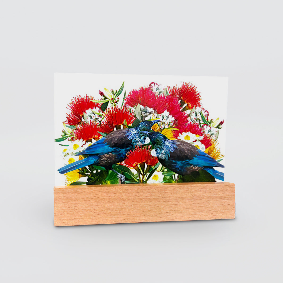 Glass Panel - 'Tui On Pohutukawa'