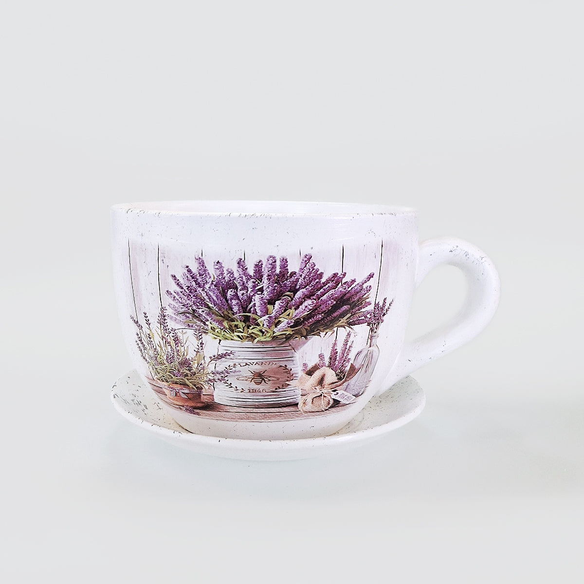 Small Tea Cup Planter - Lavender