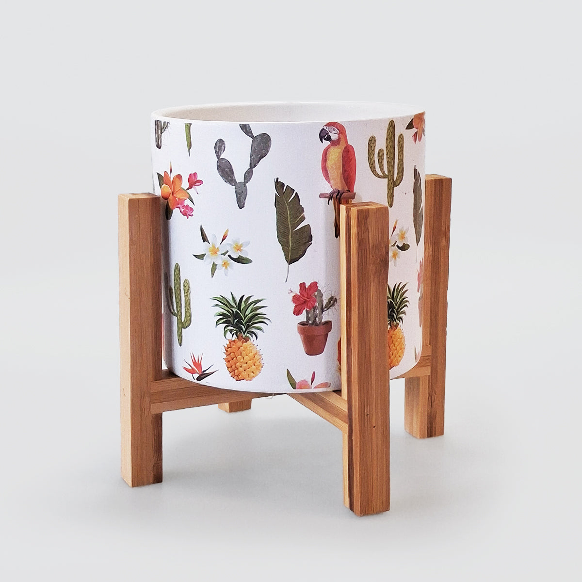 Planter Pot & Stand - Cactus