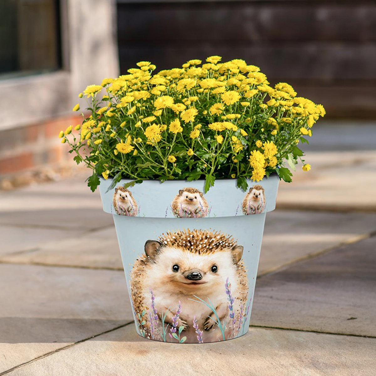 Zest Planter Pot - Hedgehog