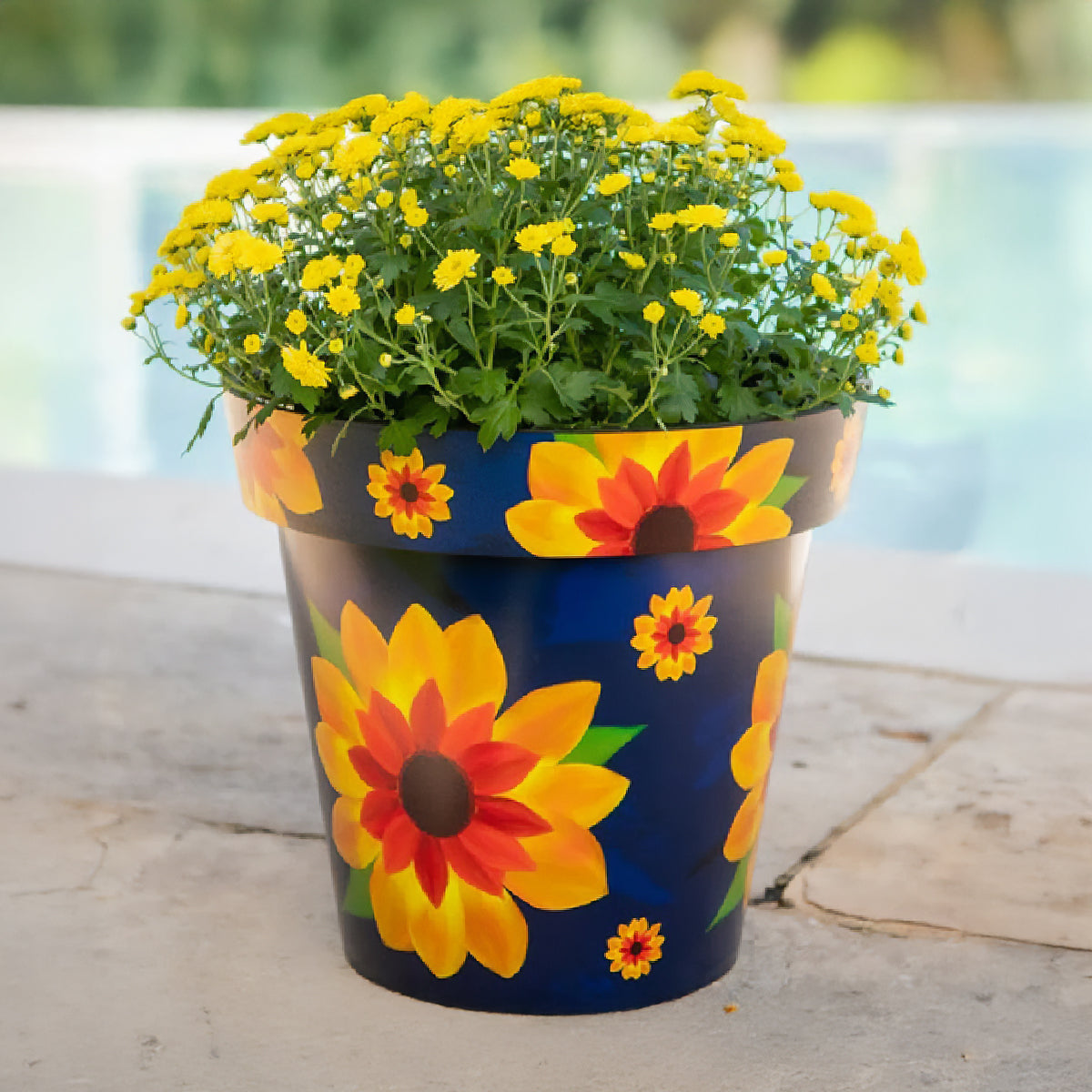 Zest Planter Pot - Sunflower