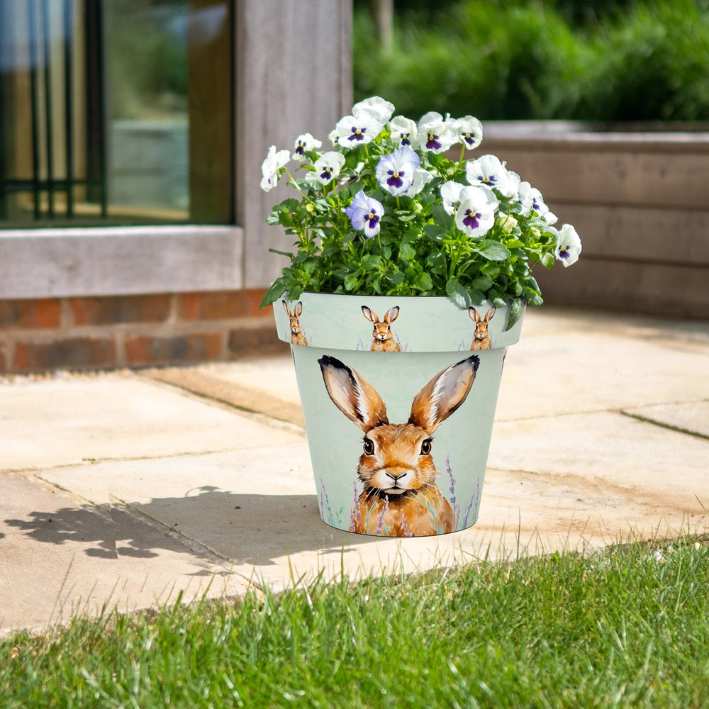Zest Planter Pot - Hare