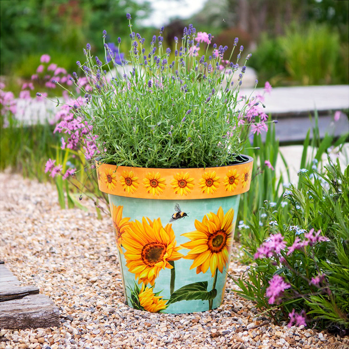 Zest Planter Pots - Colourful Sunflower