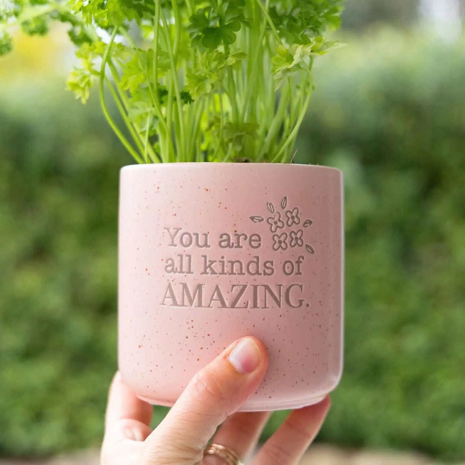 Positive Pot - All Kinds Of Amazing