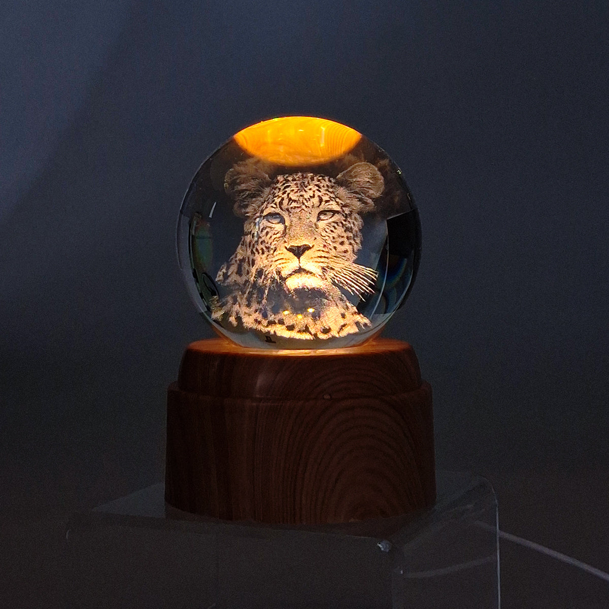 Rotating LED Glass Orb - Leopard