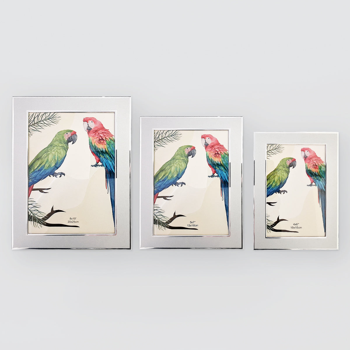 Brushed Metal Frames