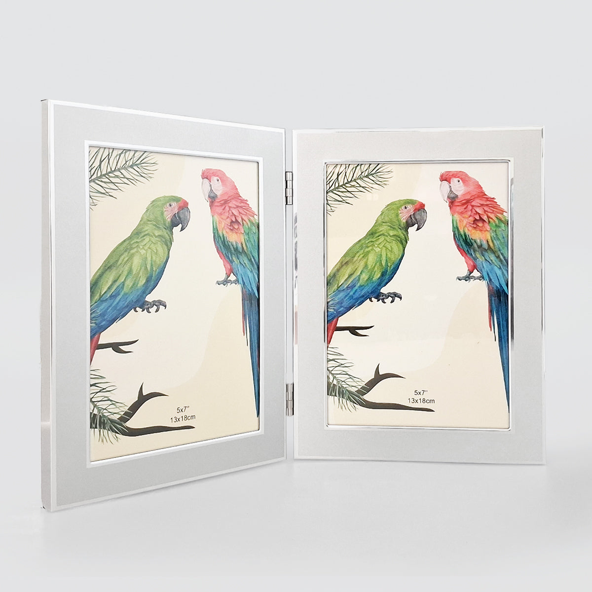 Brushed Hinged Double Frame - 5x7