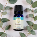 Eucalyptus Essential Oil - 10ml
