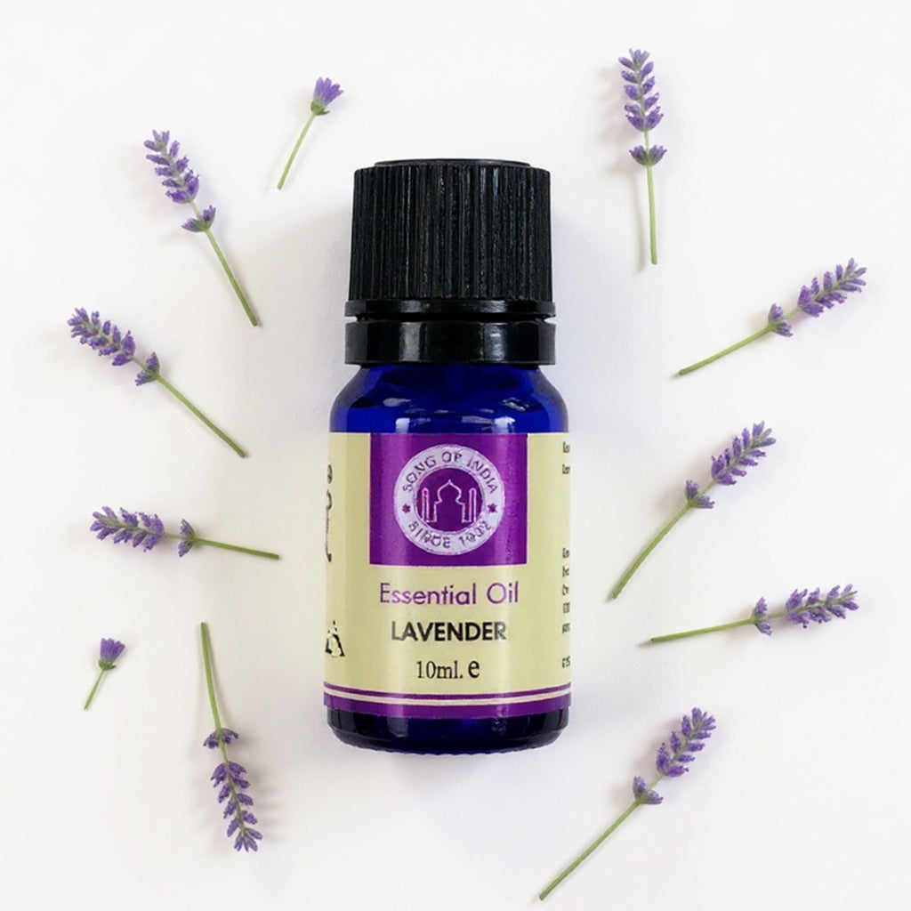 Lavender Essential Oil - 10ml