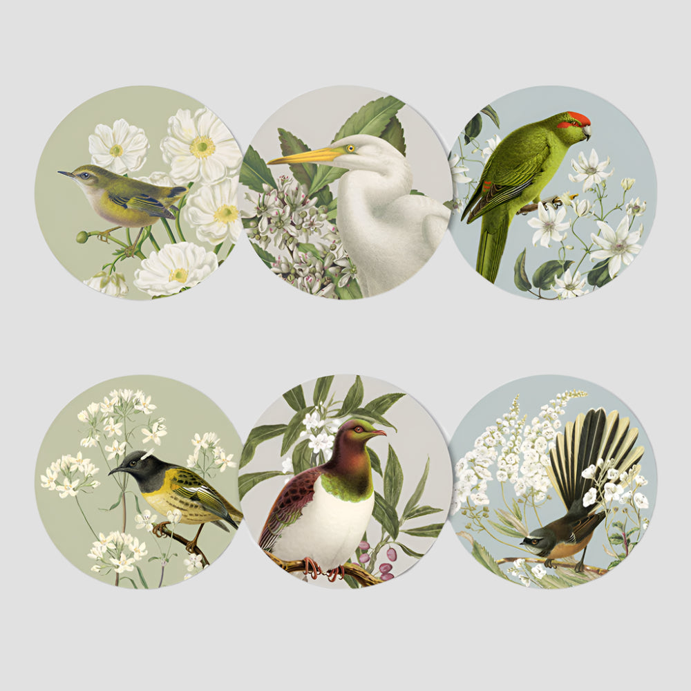 Birds & Botanical Placemats Set