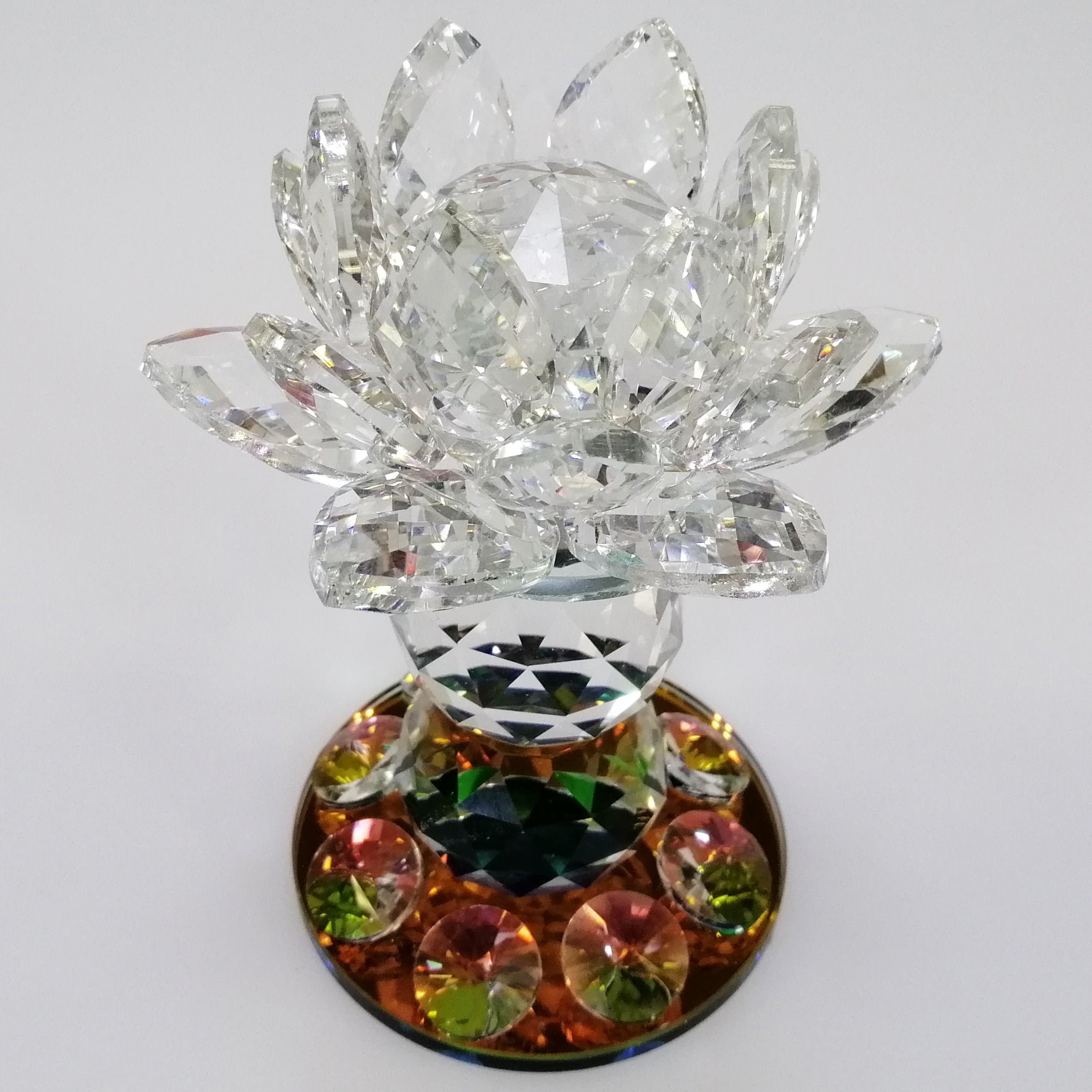 Clear Lotus with Colourful Base