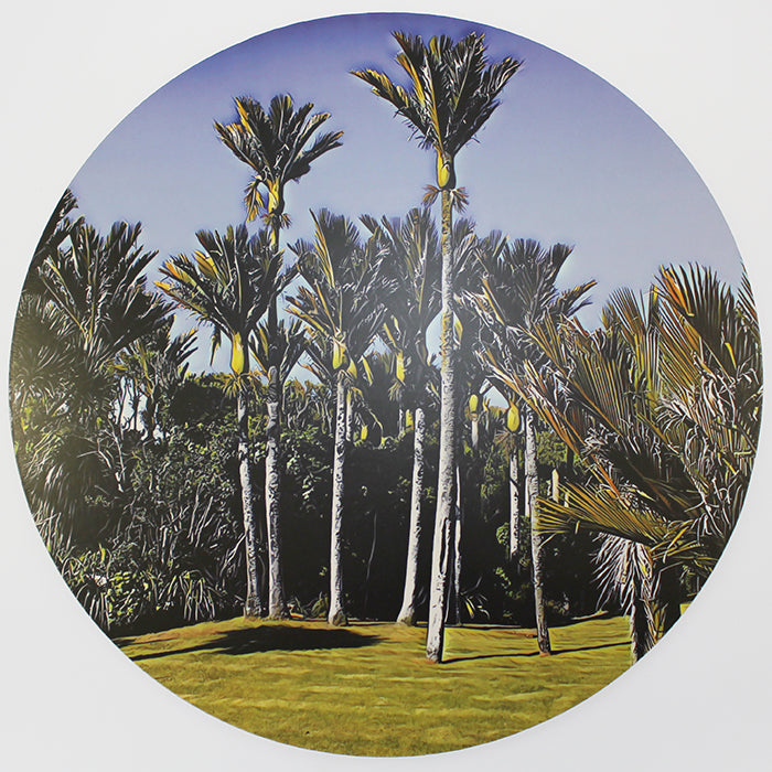 Circular Placemat - "Nikau Palm"
