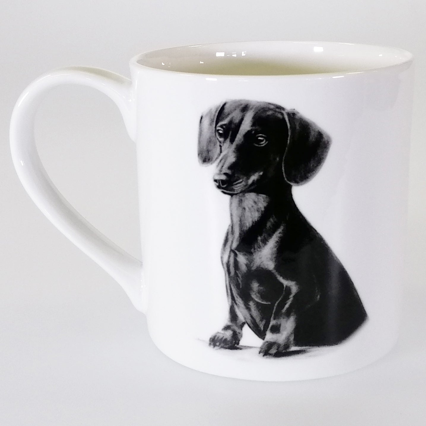 Dachshund - Delightful Dogs - Boxed Mug