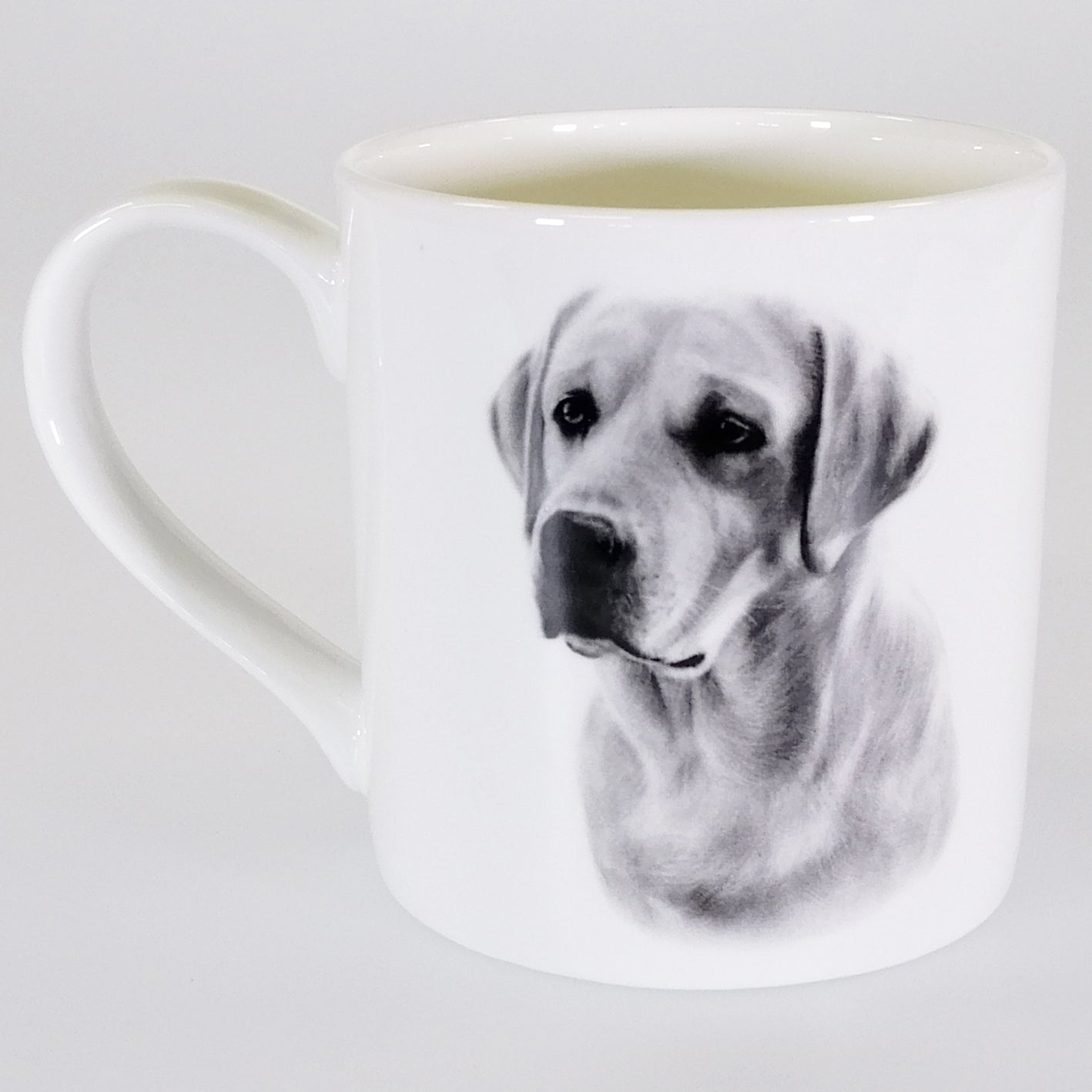 Labrador - Delightful Dogs - Boxed Mug